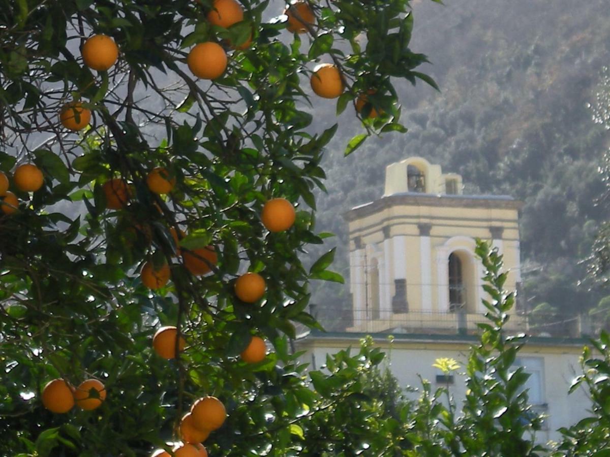 Casa De Angelis Orange & Blue Sant'Agnello Exterior foto